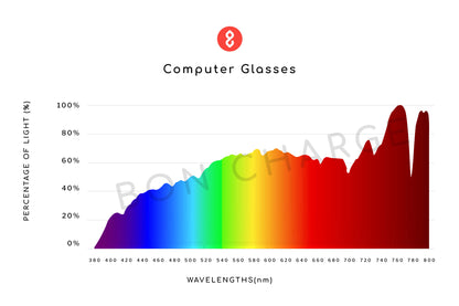 Echo Computer Glasses