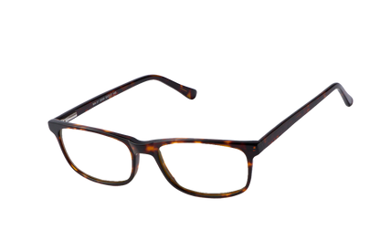 Tortoise Shell Computer Glasses Readers