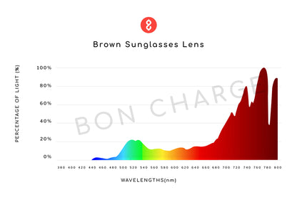 Maverick Sunglasses (Brown)