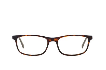 Tortoise Shell Computer Glasses