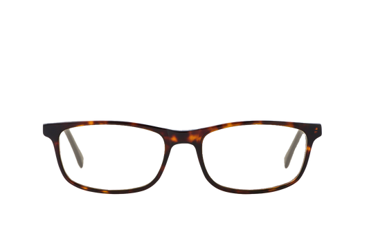 Tortoise Shell Computer Glasses